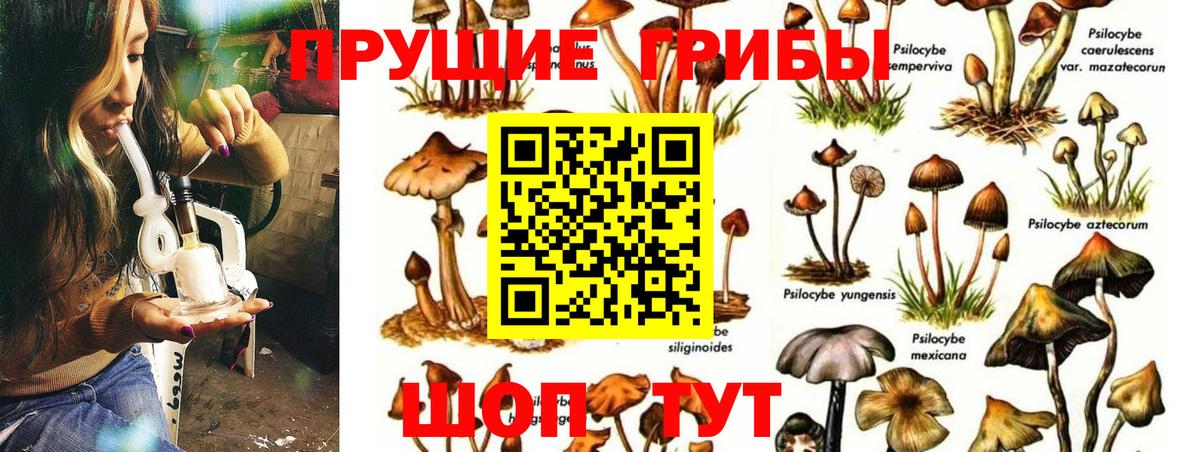Псилоцибиновые грибы Cubensis  Псилоцибиновые грибы мухоморы  Вход с VPN  Нижний Новгород 